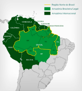 L'Amazzonia in Brasile